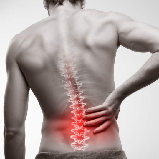 What causes lower back pain?